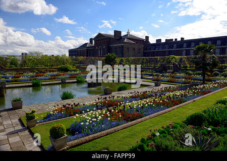 Kensington Palace Gardens versunkene Garten Frühling Blumen Tulpen Ersyimum Blüte formale Bett Rahmen anzuzeigen RM Floral Stockfoto