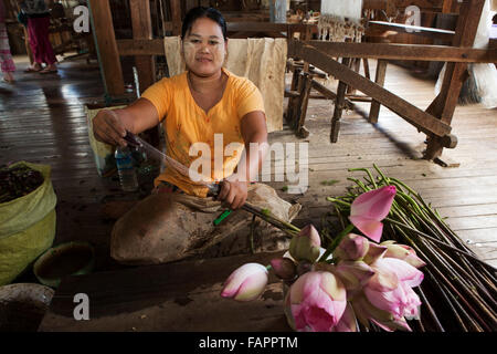 Eine Frau webt mit Lotus-Fasern in einer Werkstatt am Inle-See in Myanmar (Burma). Stockfoto