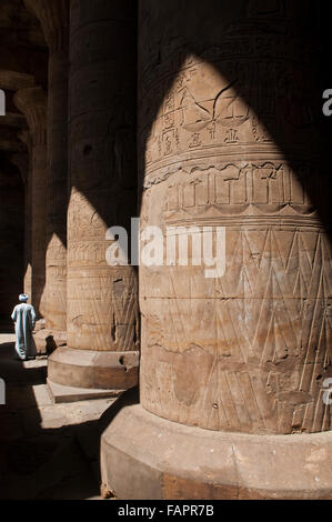 Geschnitzte Säulen mit Hieroglyphen schreiben im Tempel von Edfu am Westufer des Nils in der Stadt Edfu, die in der griechisch-römischen Zeit als Apollonopolis Magna bekannt wurde entfernt, nachdem der Oberste Gott Horus-Apollo. Der Tempel, zu dem Falkengott Horus geweiht war, wurde in der Ptolemäischen Periode zwischen 237 und 57 v. Chr. gebaut. Ägypten Stockfoto