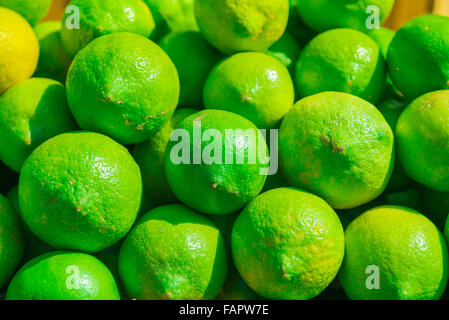 Grüne Zitrone, frische Zitronen zum Verkauf auf dem Markt in Syrakus (Siracusa), Sizilien. Stockfoto