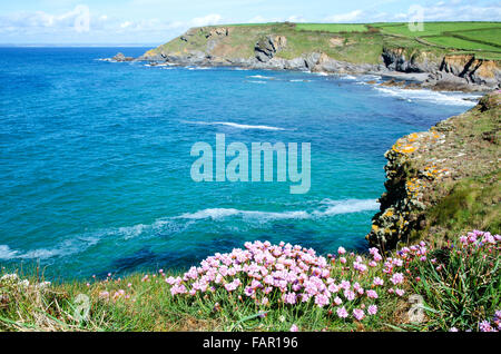 Dollar-Bucht bei Gunwalloe in Cornwall, England, UK Stockfoto