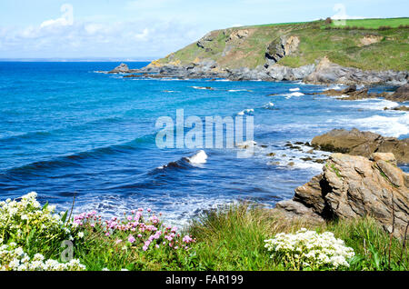 Dollar-Bucht bei Gunwalloe in Cornwall, England, UK Stockfoto