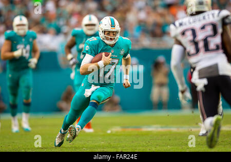 Miami Gardens, Florida, USA. 3. Januar 2016. Miami Dolphins Quarterback Ryan Tannehill (17), läuft für ein First Down spät im vierten Quartal gegen die New England Patriots NFL-Spiel Sonntag, 3. Januar 2016 in Miami Gardens. Endstand flossen 20-10 über die Patriots. © Bill Ingram/der Palm Beach Post/ZUMA Draht/Alamy Live-Nachrichten Stockfoto