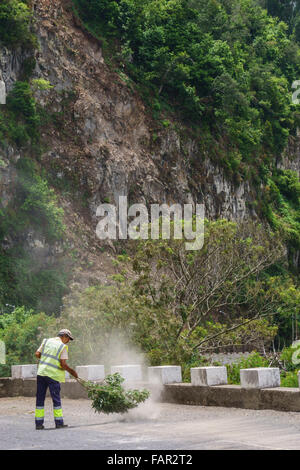 Madeira - Straße durch San Roque de Faial. Arbeiter verwendet einen Zweig als einen Besen, um losen Schotter von der Fahrbahn zu fegen. Stockfoto