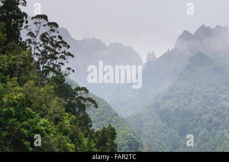 Madeira - Straße durch San Roque de Faial. Misty Mountain View. Stockfoto