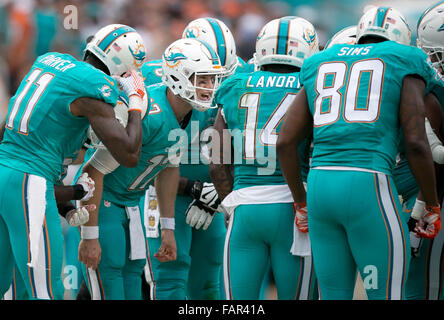 Miami Gardens, Florida, USA. 3. Januar 2016. Miami Dolphins Quarterback Ryan Tannehill (17) fordert ein Theaterstück in der Huddle bei Sun Life Stadium in Miami Gardens, Florida am 3. Januar 2016. Bildnachweis: Allen Eyestone/The Palm Beach Post/ZUMA Draht/Alamy Live-Nachrichten Stockfoto