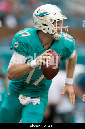 Miami Gardens, Florida, USA. 3. Januar 2016. Miami Dolphins quarterback Ryan Tannehill (17) klettert aus der Tasche im Sun Life Stadium in Miami Gardens, Florida am 3. Januar 2016. Bildnachweis: Allen Eyestone/The Palm Beach Post/ZUMA Draht/Alamy Live-Nachrichten Stockfoto