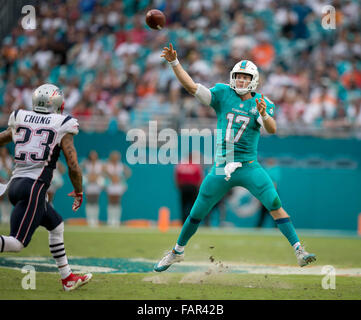 Miami Gardens, Florida, USA. 3. Januar 2016. Miami Dolphins quarterback Ryan Tannehill (17) wirft auf den ru im vierten Quartal bei Sun Life Stadium in Miami Gardens, Florida am 3. Januar 2016. Bildnachweis: Allen Eyestone/The Palm Beach Post/ZUMA Draht/Alamy Live-Nachrichten Stockfoto