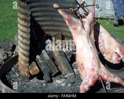 Ganzes Lamm am Spieß braten über offenem Feuer in Bbq Pit. Stockfoto