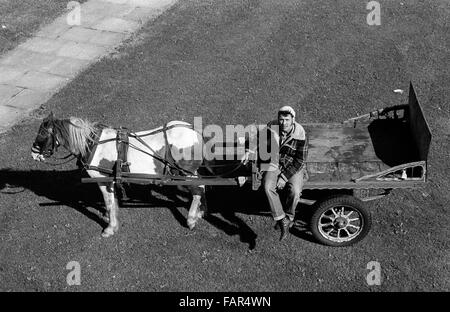 Buttershaw Estate, Bradford, West Yorkshire, Großbritannien. Ein weitläufiger Gemeinderat der 1950er Jahre wohnungssystem des rates. Schwarz-Weiß-Bilder von 1982 zeigen die düstere Umgebung eines typischen nordenglischen Arbeiterunterbeckens. Mann mit Fetzen und Knochen auf Pferd und Wagen, der zur Kamera aufschaut. Stockfoto