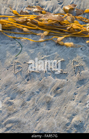 Das Wort Strand in Sand geschrieben. Stockfoto