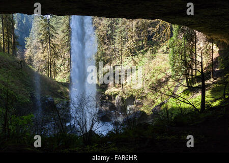 Ein hoch leistungsfähige Wasserfall in Silver Falls State Park in Oregon fließt über ein Regal von Felsen und durch eine tiefe Schlucht. Stockfoto