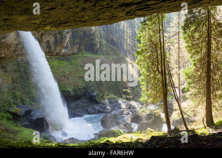 Ein hoch leistungsfähige Wasserfall in Silver Falls State Park in Oregon fließt über ein Regal von Felsen und durch eine tiefe Schlucht. Stockfoto