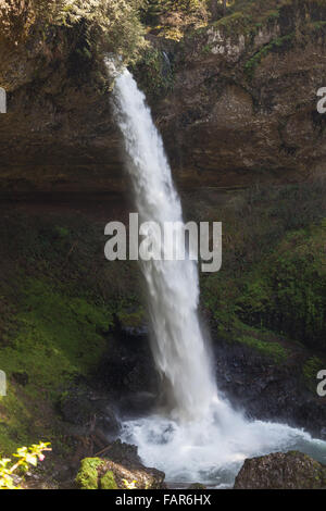 Ein hoch leistungsfähige Wasserfall in Silver Falls State Park in Oregon fließt über ein Regal von Felsen und durch eine tiefe Schlucht. Stockfoto