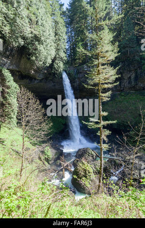 Ein hoch leistungsfähige Wasserfall in Silver Falls State Park in Oregon fließt über ein Regal von Felsen und durch eine tiefe Schlucht. Stockfoto