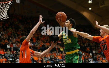 Corvallis, Oregon, USA. 3. Januar 2015. DILLON BROOKS (24) wenn verschmutzt, auf den Reifen fahren. Die Oregon State Beavers Hosten der University of Oregon Ducks Gill Coliseum in Corvallis, OR, am 3. Januar, 2016. Foto von David Blair Credit: David Blair/ZUMA Draht/Alamy Live-Nachrichten Stockfoto