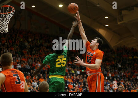 Corvallis, Oregon, USA. 3. Januar 2015. DREW EUBANKS (12) führt einen Torwurf. Die Oregon State Beavers Hosten der University of Oregon Ducks Gill Coliseum in Corvallis, OR, am 3. Januar, 2016. Foto von David Blair Credit: David Blair/ZUMA Draht/Alamy Live-Nachrichten Stockfoto