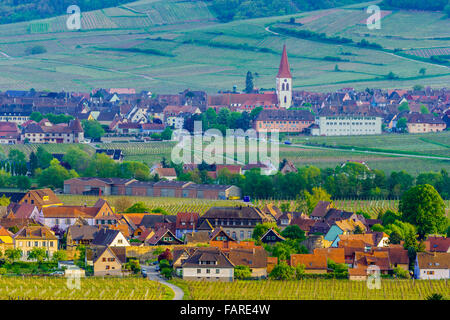 Weinberge rund um Städte von Kientzheim und Ammerschwihr, Frankreich Stockfoto
