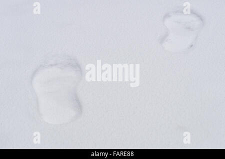 Paar von Spuren im frischen Schnee, Winter Hintergrund Stockfoto