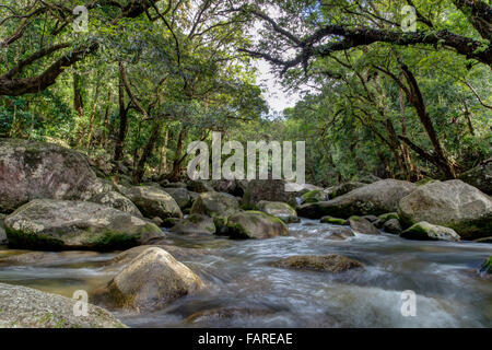 Foto eines Baches in der Mossman River Gorge in Queensland, Australien. Stockfoto