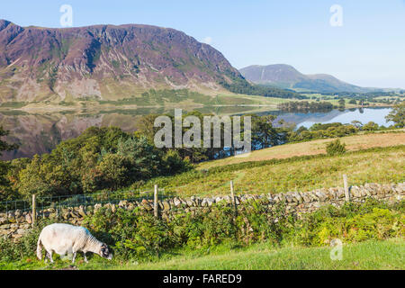 England, Cumbria, Seenplatte, Crummockwater Stockfoto