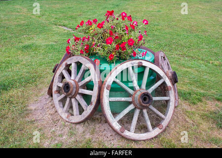 Rustikalen Stil Blumen Bett auf die Kanalisation mit Holzrädern und duftenden Surfinia Blüten. Grüne Sommer Rasen Stockfoto