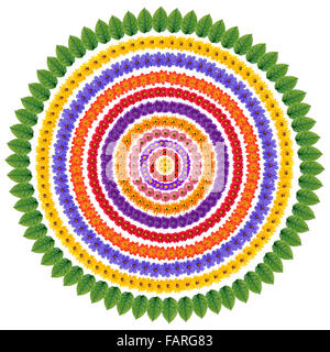 Satz von abstrakten floralen einfache konzentrisch als Rahmen für Ihre Sommer-Collagen. Isoliert auf weiss Stockfoto