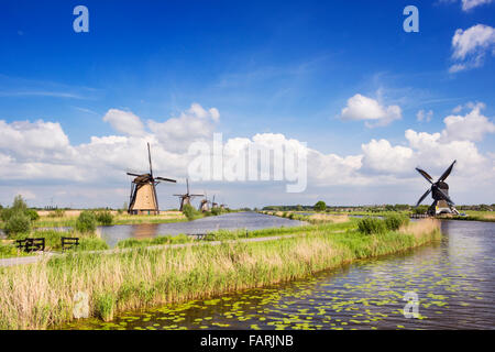 Traditionelle holländische Windmühlen an einem hellen, sonnigen Tag in Kinderdijk in den Niederlanden. Stockfoto