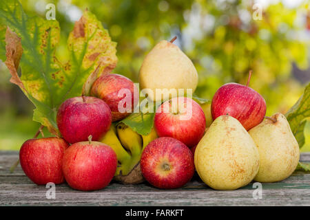 Früchte in Holztisch im Freien im Garten Stockfoto