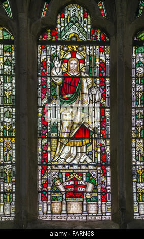 Buntes Bleiglasfenster an der Exeter Cathedral, Devon, England, Großbritannien Stockfoto