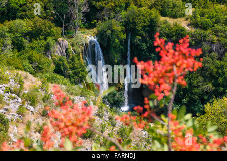 Krka Nationalpark, Wasserfall Manojlovac Stockfoto