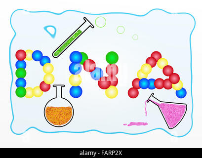Die Worte DNA bauen aus grünen, blauen, roten und gelben Kugeln mit Laborgeräten, für Chemie oder naturwissenschaftlichen Unterricht Stockfoto