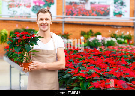 Lächelnde Floristen halten eine Pflanze. Stockfoto