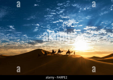 Karawane in der Wüste bei Sonnenaufgang gegen einen schönen bewölkten Himmel. Stockfoto