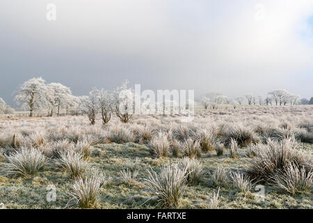 Schottische Winterlandschaft, Priestland, East Ayrshire, Schottland Model Release: Nein Property Release: Nein. Stockfoto