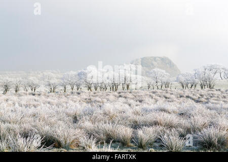 Schottische Winterlandschaft und Loudoun Hill, Priestland, East Ayrshire, Schottland Model Release: Nein Property Release: Nein. Stockfoto