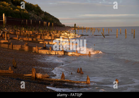 Hölzerne leisten oder Wellenbrecher an der Nordseeküste, Bawdsey Fähre, Suffolk, UK. Stockfoto