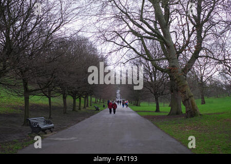 Wintertag im Greenwich Park London Stockfoto