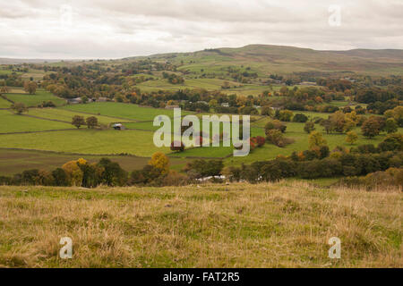 Eine malerische Aussicht auf den Fluss Tees in der Nähe von Middleton-in-Teesdale im Herbst bunten Bäumen und grünen Wiesen Stockfoto