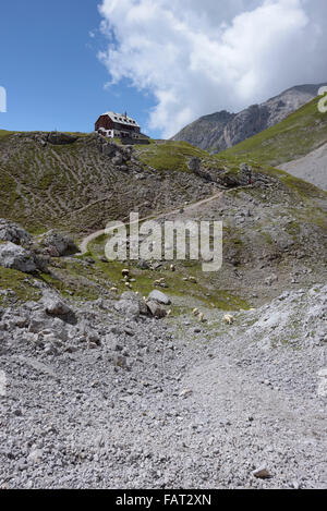 Fütterung der Schafe vor Mountain lodge Guttenberghaus, Dachstein, Ramsau, Österreich Stockfoto