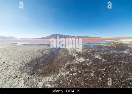 Weitwinkelaufnahme des "Laguna Colorada", bunte Salzsee mit Vulkan, auf dem Weg zu den berühmten Uyuni Salz flach, unter den m Stockfoto