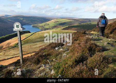 Ein Mann geht vorbei an den National Trust-Schild, High Peak Estate, Whinstone Lee Fields, Peak District National Park, Derbyshire, UK Stockfoto