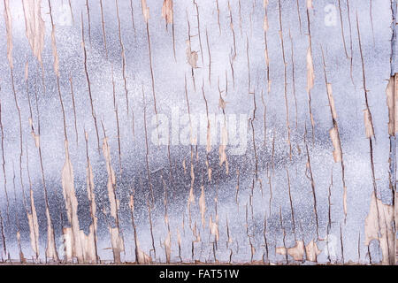Alte graue Holzwand Hintergrund mit vielen Schattierungen von grau Stockfoto