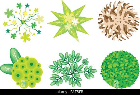Eine Illustration Sammlung der Landschaftsgestaltung Treetop Symbole oder isometrische Bäume und Pflanzen, Vielfalt an Pflanzen, Evergreens und Bäume Stock Vektor