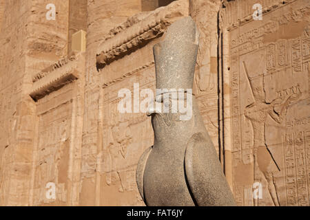 Statue des Falken Gottes Horus Tempel von Edfu, Ägypten Stockfoto