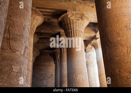 Spalten in den Tempel von Edfu, dem Falcon Gott Horus, Ägypten Stockfoto