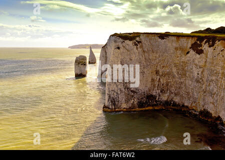 Die Kreide Zinnen an Handfast Punkt und Old Harry Rocks markieren den Beginn der Jurassic Coast in Dorset, England, UK Stockfoto