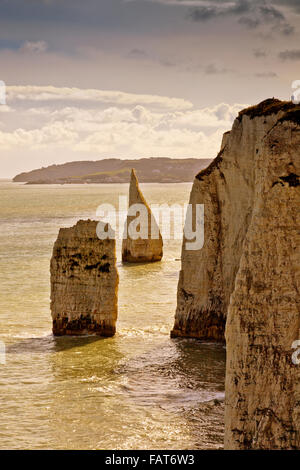 Die Kreide Zinnen an Handfast Punkt und Old Harry Rocks markieren den Beginn der Jurassic Coast in Dorset, England, UK Stockfoto