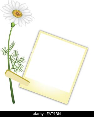 Liebe Konzept, Illustration einer schönen White Daisy oder Kamille Blüte mit gelben leer Sofortbild-Prints oder Polaroid-Rahmen Stock Vektor