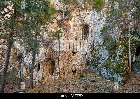 Nahaufnahme von einem Berg Kalksteinwand mit bemoosten Felsen und viele Löcher Stockfoto